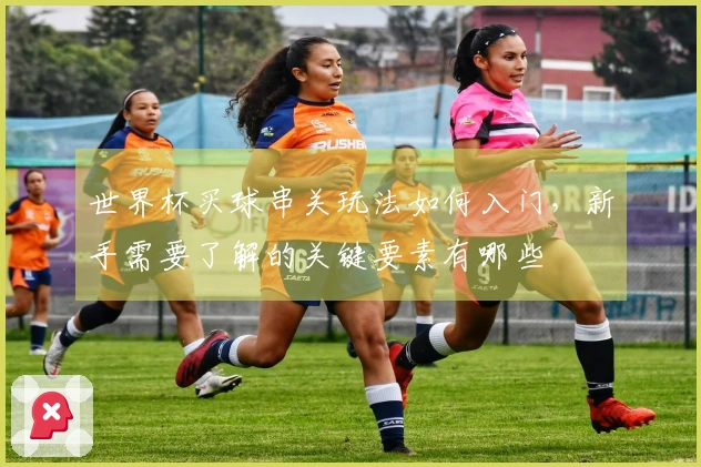 世界杯买球串关玩法如何入门，新手需要了解的关键要素有哪些